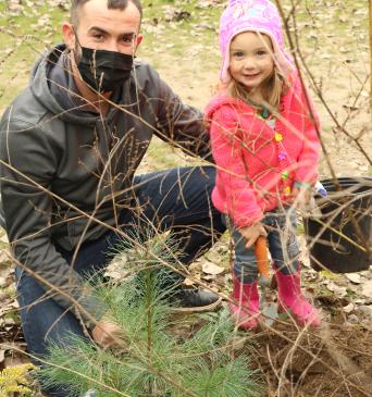 A man and a child stand near a newly-planted tree.